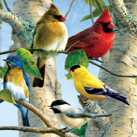 Refrigerator Magnets